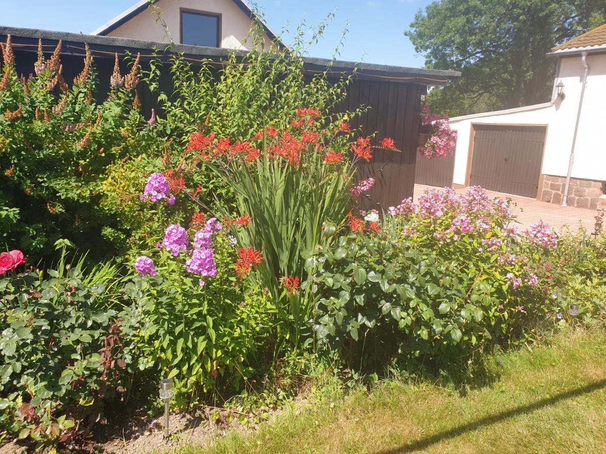 Holiday home Keppler Im Erzgebirge Sayda